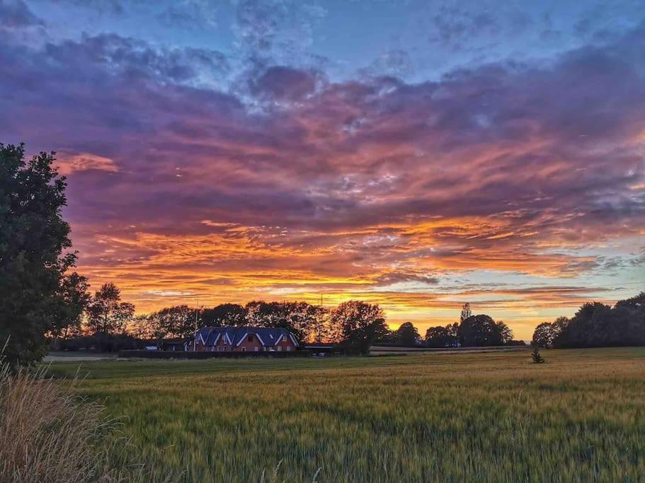 Kongsholmlund. Enjoy The Countryside. Lejlighed Vejby Eksteriør billede